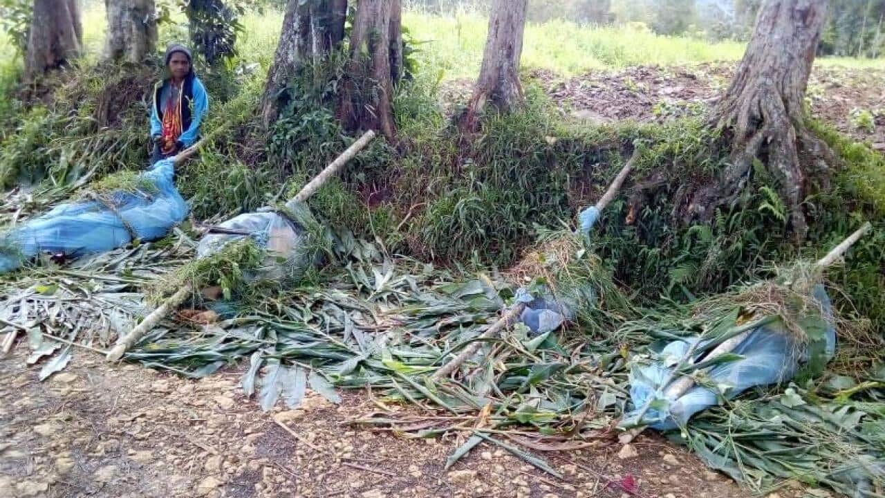This is the photo of 16 people killed in Karida on Monday morning.