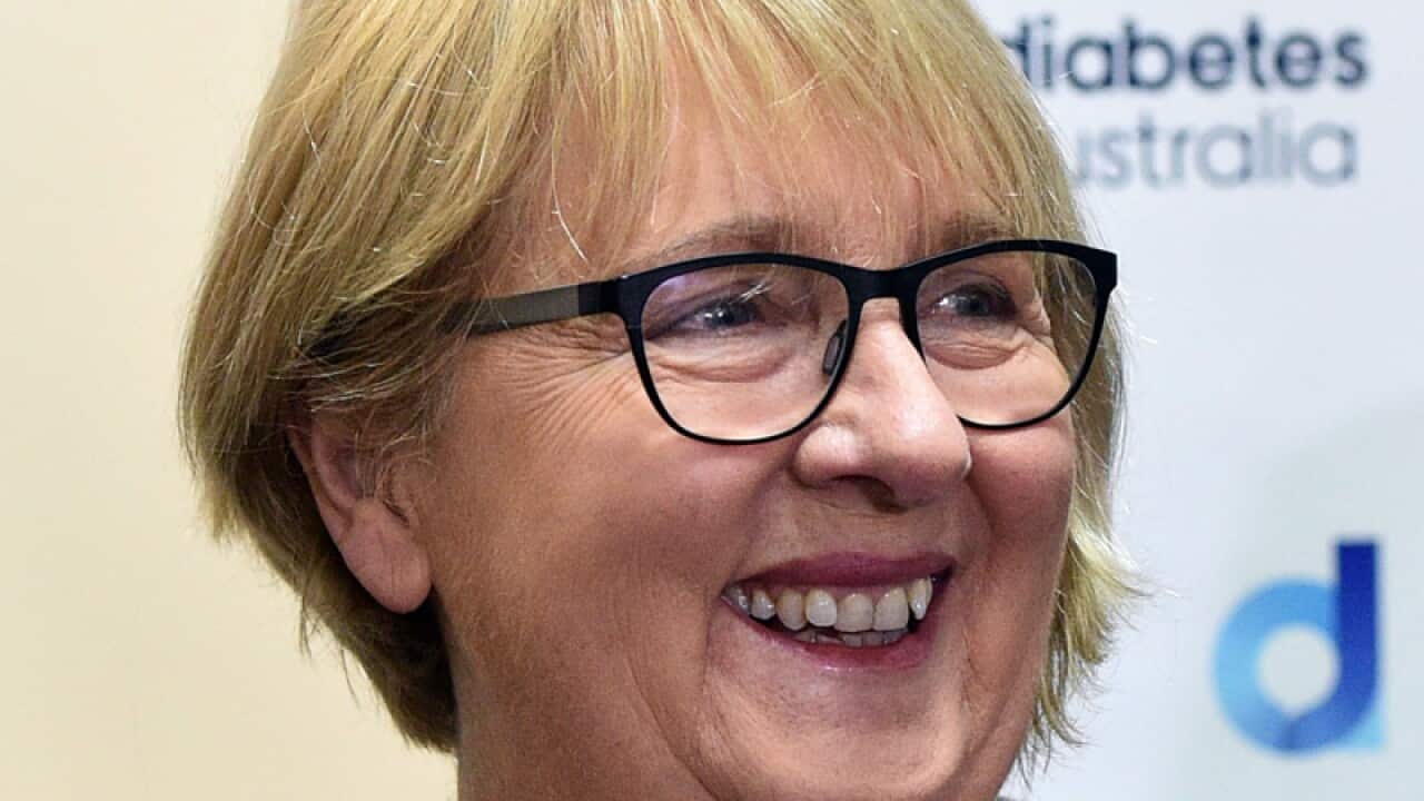 Shadow Minister for Families and Payments and Labor MP Jenny Macklin