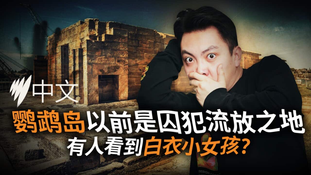 050625 SC GHOST STORY COCKATOO ISLAND.jpg