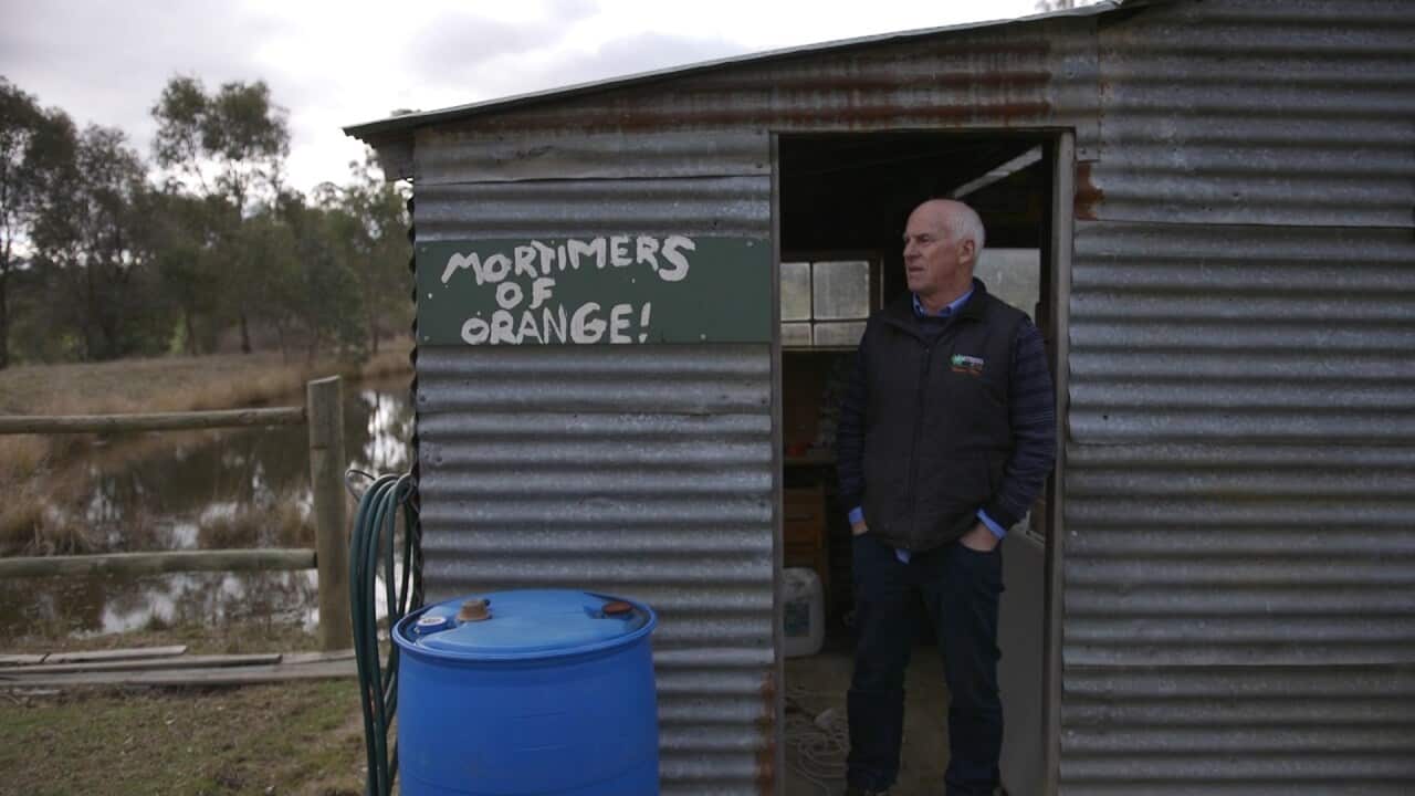 Image for read more article 'Related Reading'