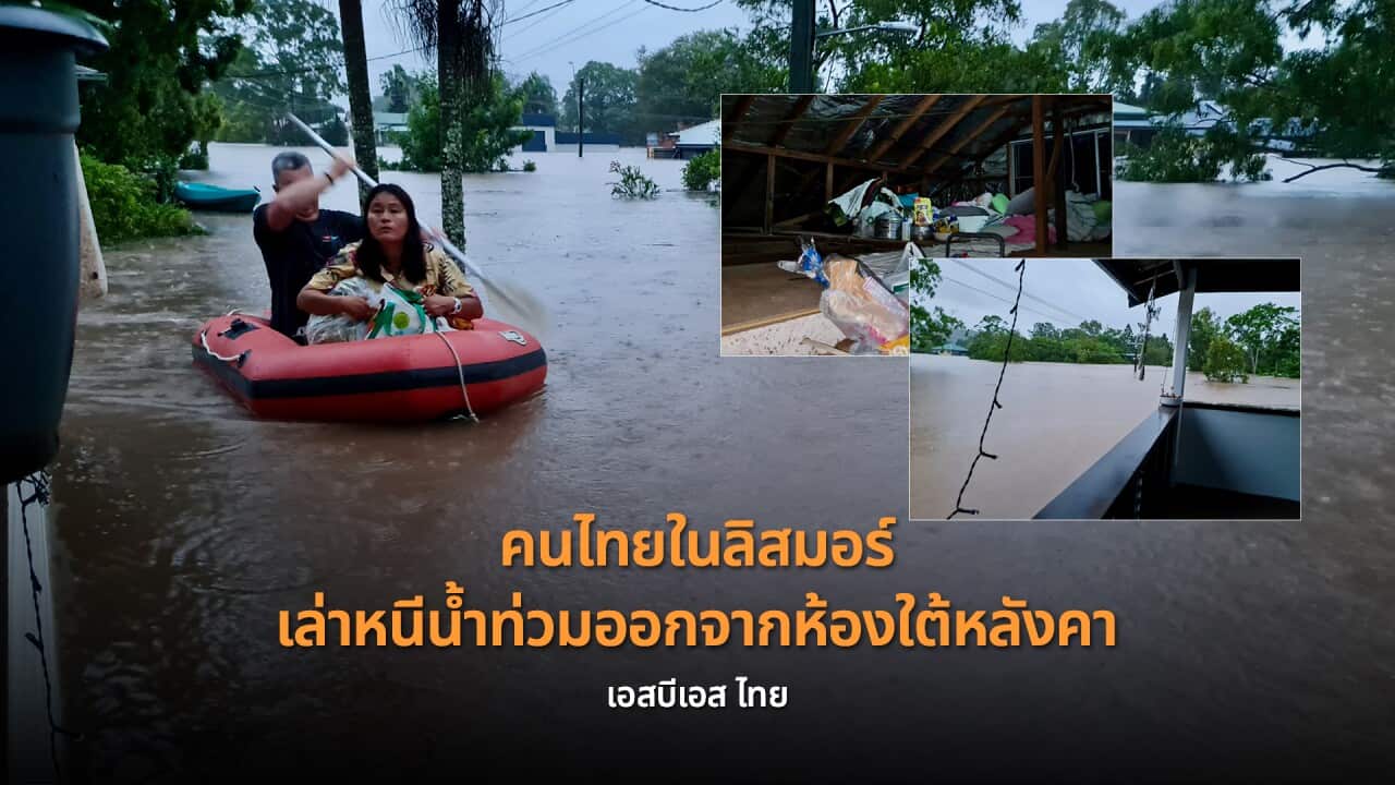 Image for read more article 'เรื่องอื่นๆ ที่น่าสนใจจากเอสบีเอส ไทย'