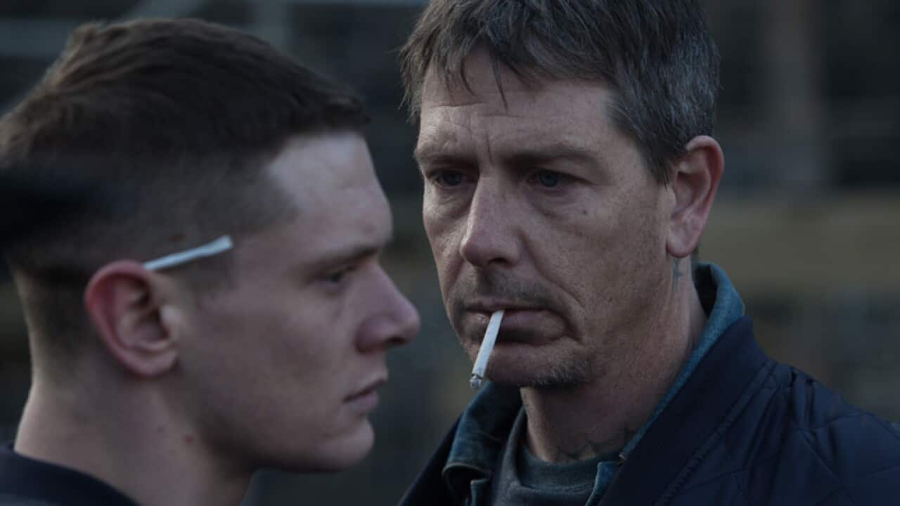 StarredUp_704.jpg