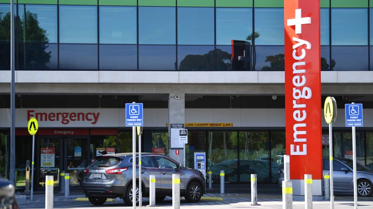 The Royal Adelaide Hospital