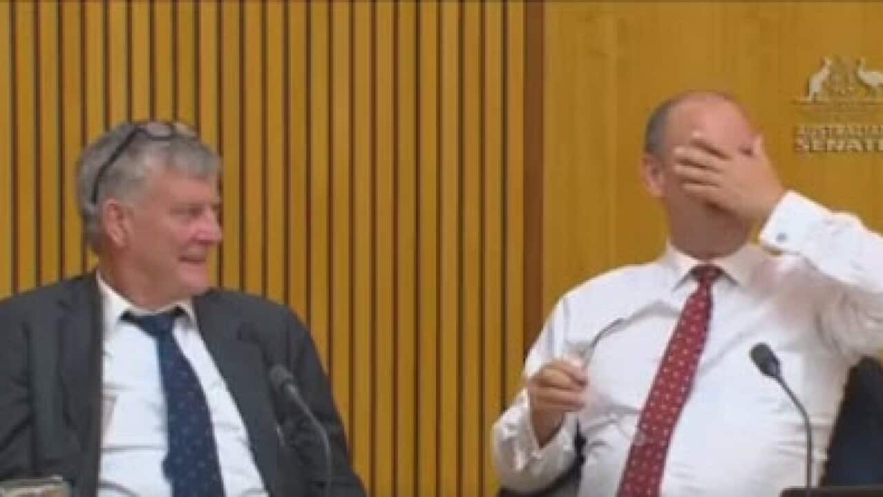 NSW Liberal Senator Bill Heffernan and South Australian Liberal Senator Sean Edwards