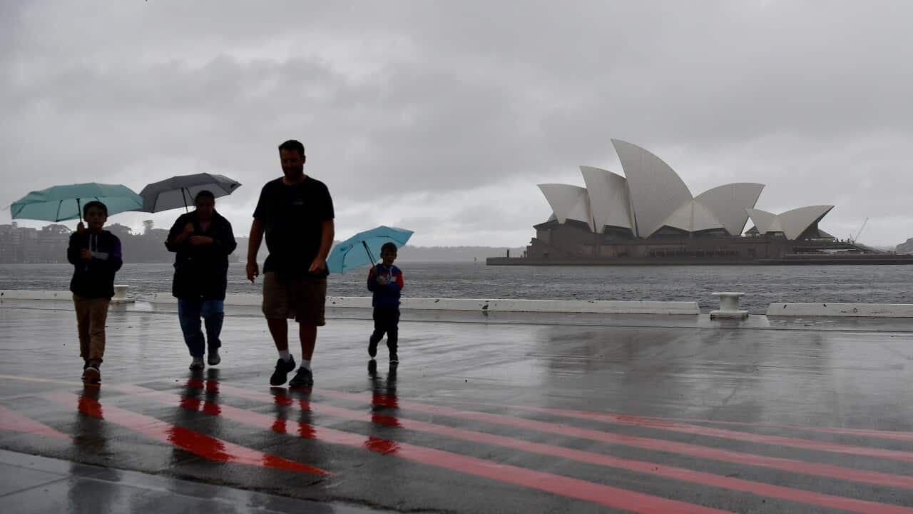 NSW WET WEATHER