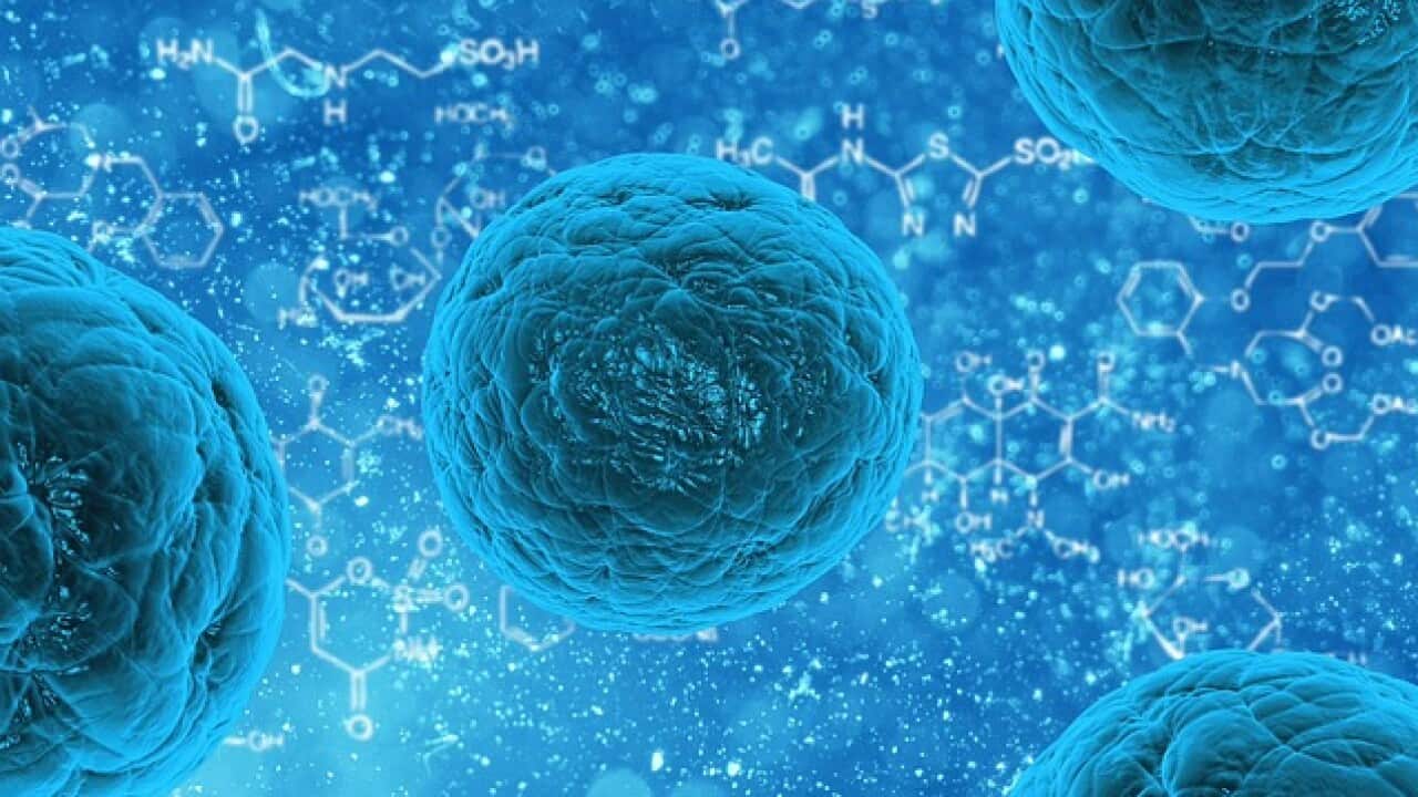 Microbe