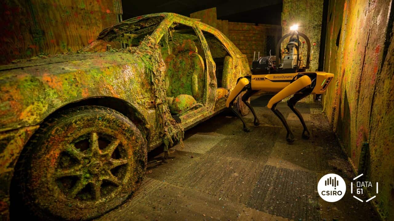 Image for read more article ''