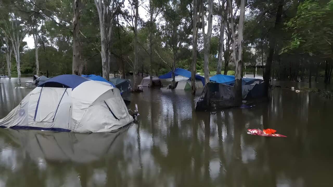 Inundated tents at Beenleigh, Queensland (SBS).jpg