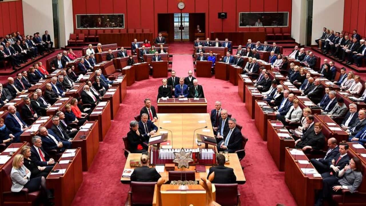Prime Minister Scott Morrison and Opposition Leader Anthony Albanese, Members of Parliament