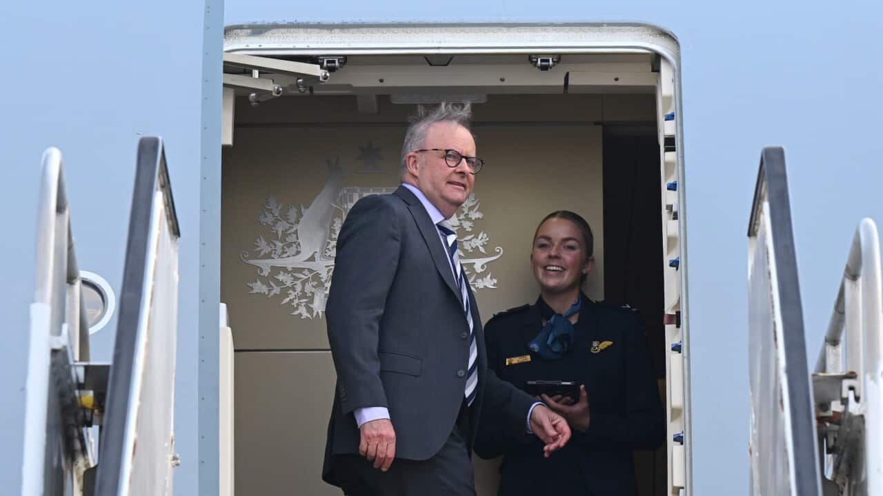 ANTHONY ALBANESE US VISIT