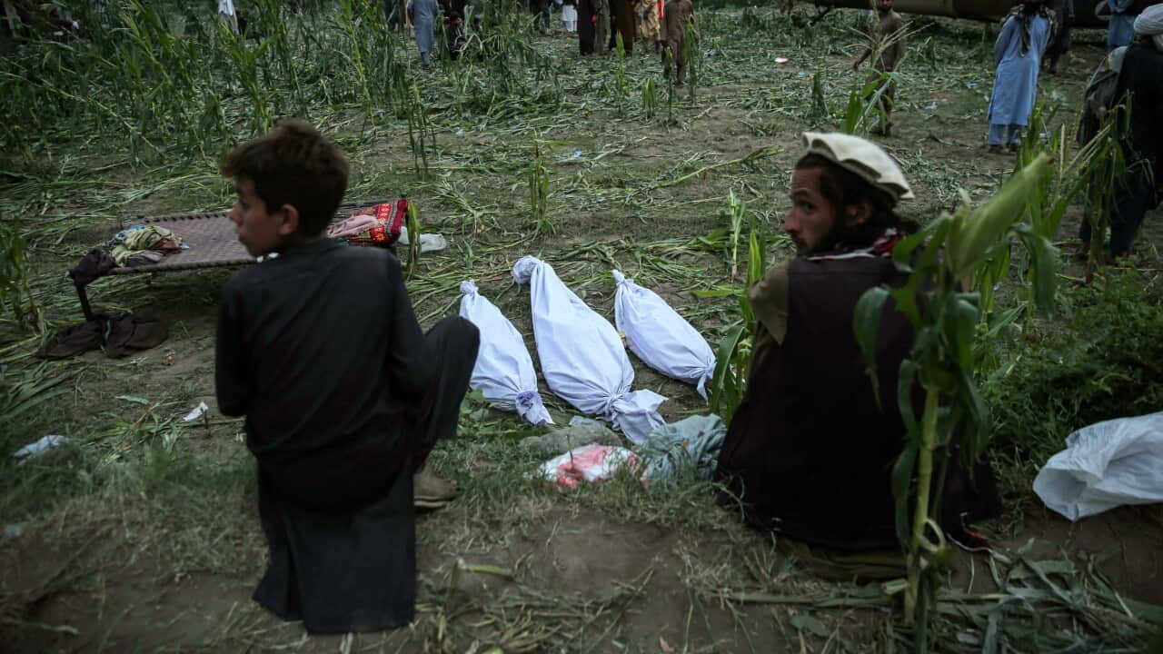 A man and a young boy, their backs turned, look sideways as they sit next to three bodies in white bags in a grassy area.