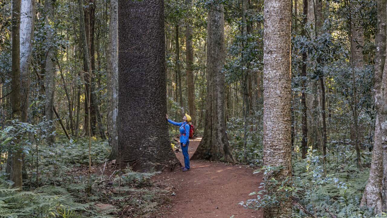 Image for read more article ''