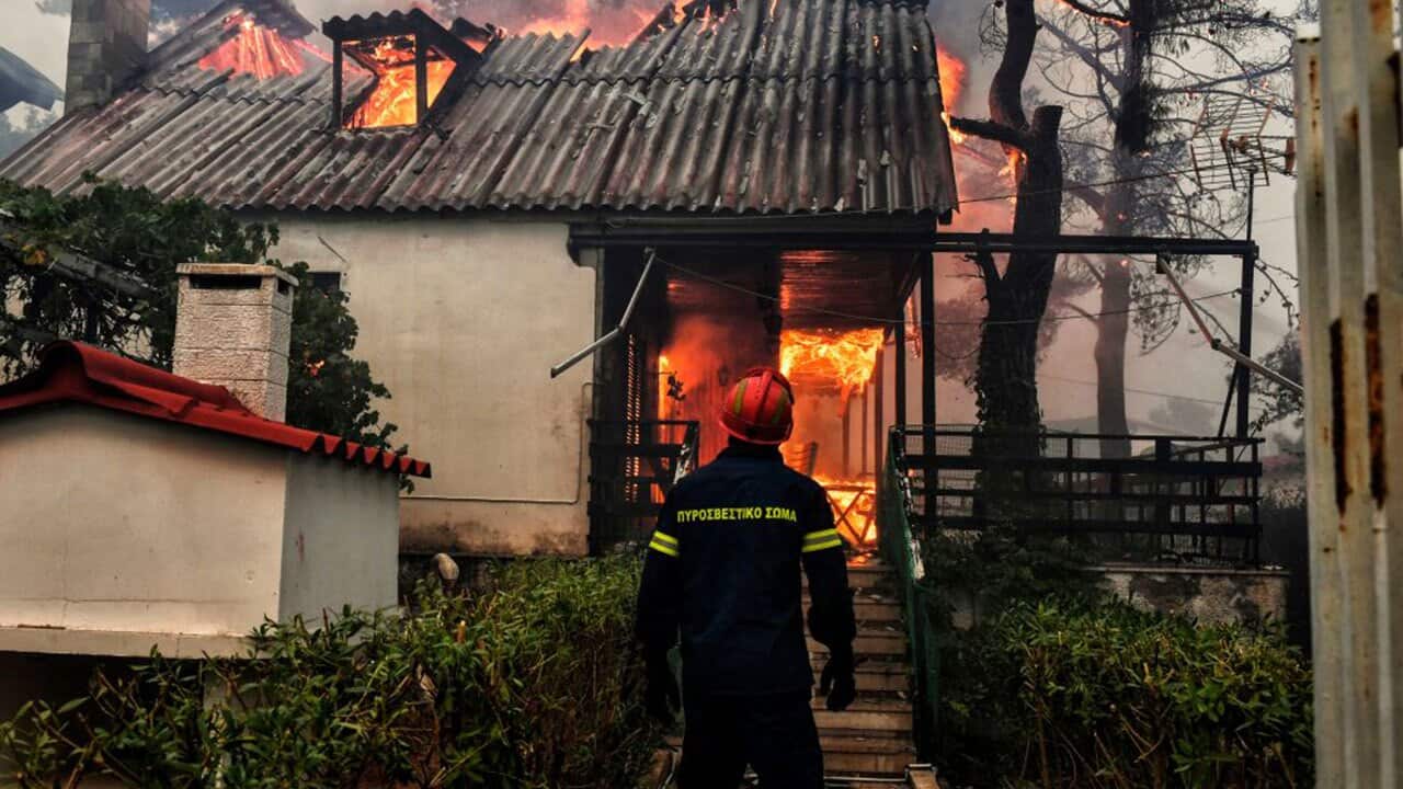 A firefighter stands in front of a burning house during a wildfire in Kineta, near Athens, on July 23, 2018