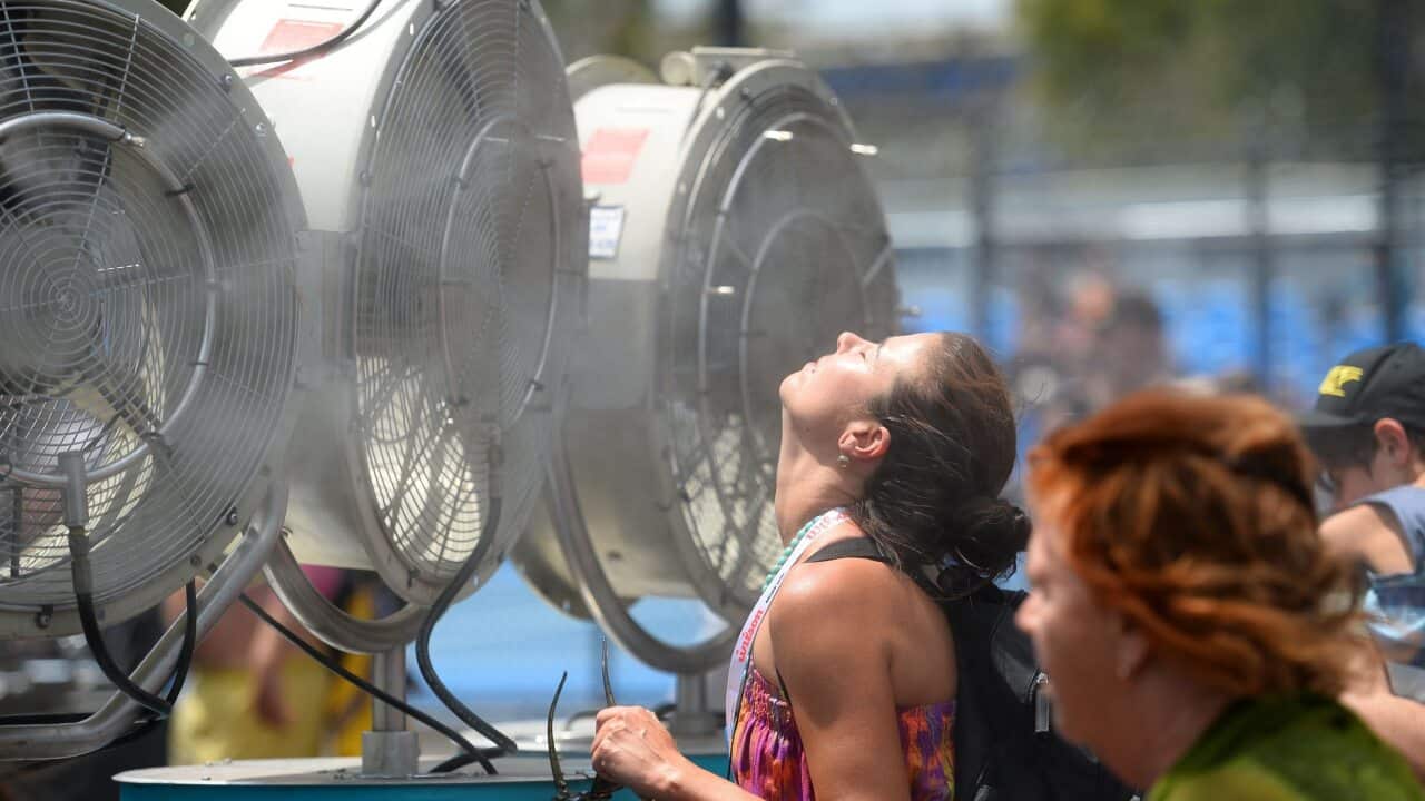 What you need to know to protect yourself from the Heatwaves