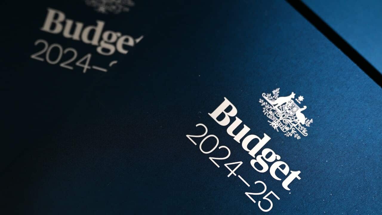 FEDERAL BUDGET 2024