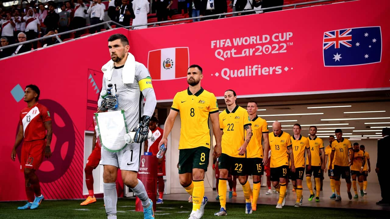 How To Watch The Socceroos At The 2022 Fifa World Cup Live On Sbs Sbs Fifa World Cup 2022