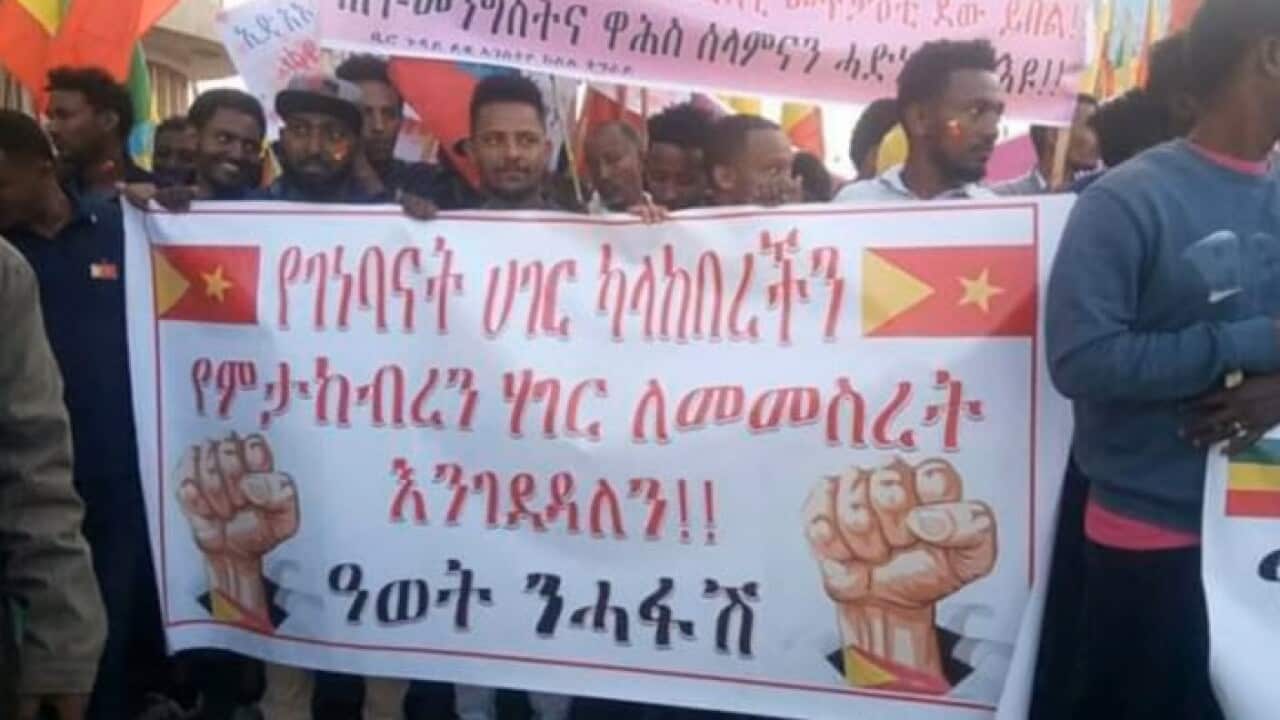 Protests in Tigray, Interview with Hayalu Godefay