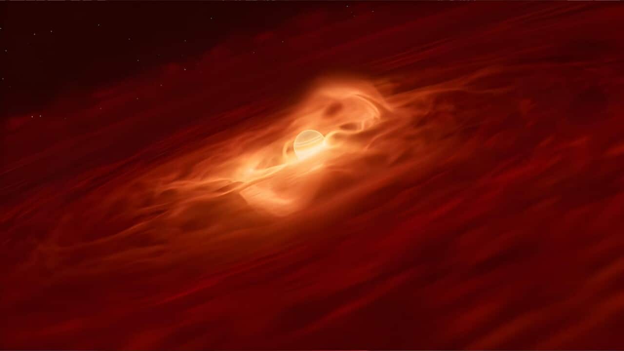 The rogue planet is sucking up dust and gas at an amazing rate (Supplied-ESO-L. Calçada,M. Kornmesser).jpg