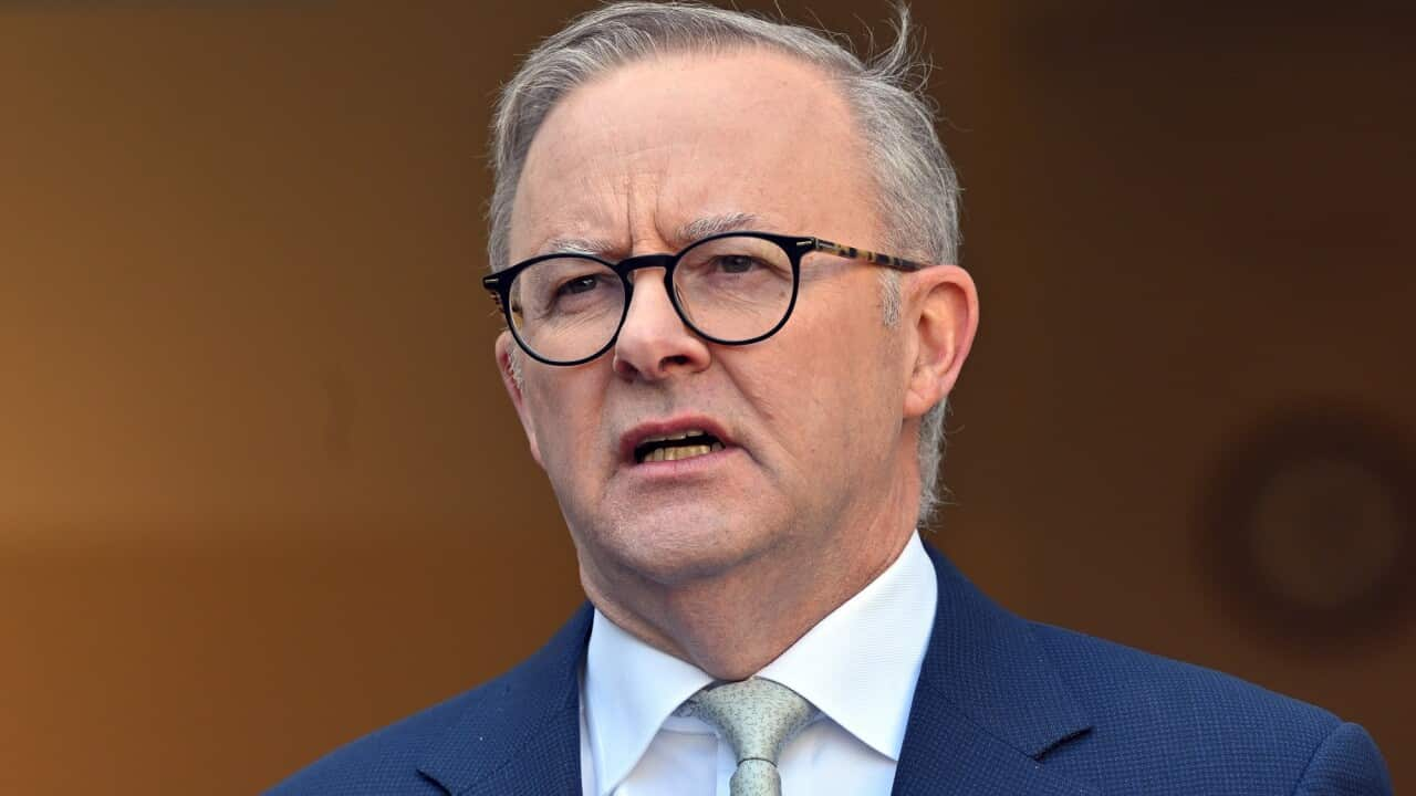 Anthony Albanese wearing a blue suit. 