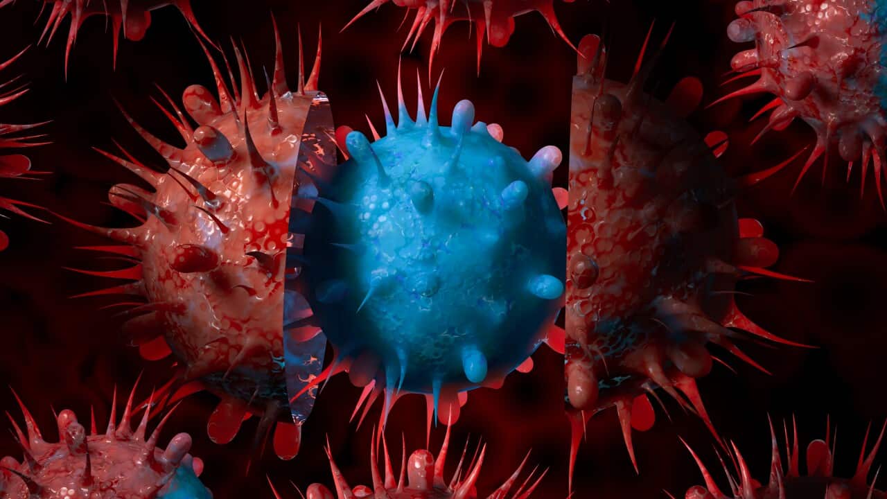 Image for read more article 'READ MORE'