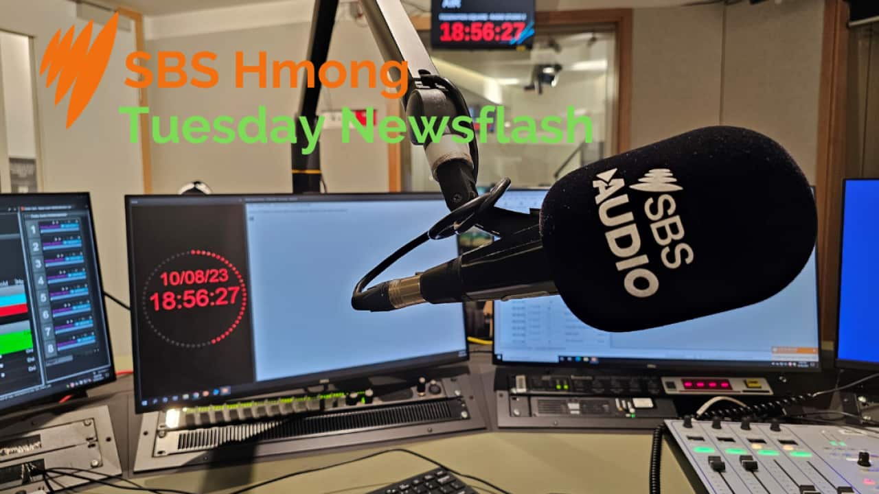 Tuesday newsflash (SBS).png