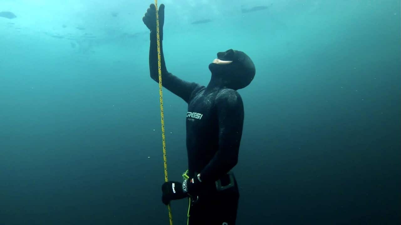 Diver