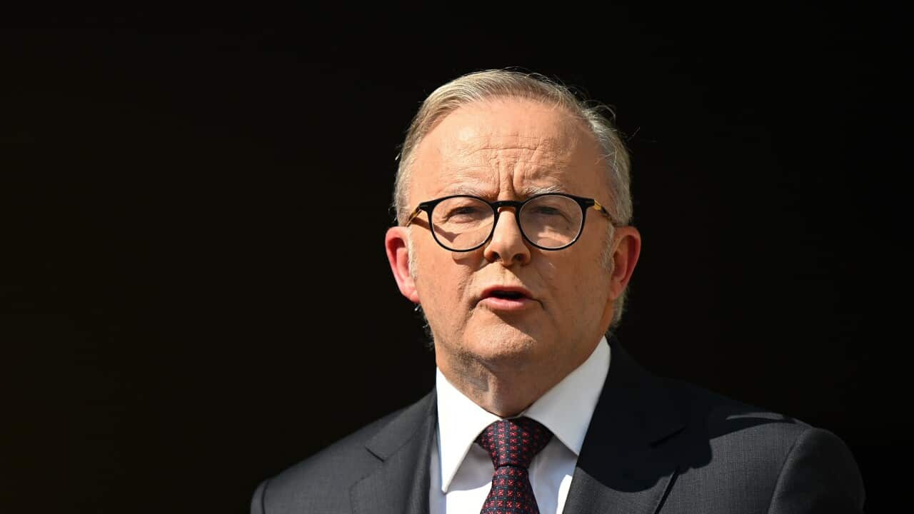 ALBANESE ROYAL COMMISSION ANNOUNCEMENT