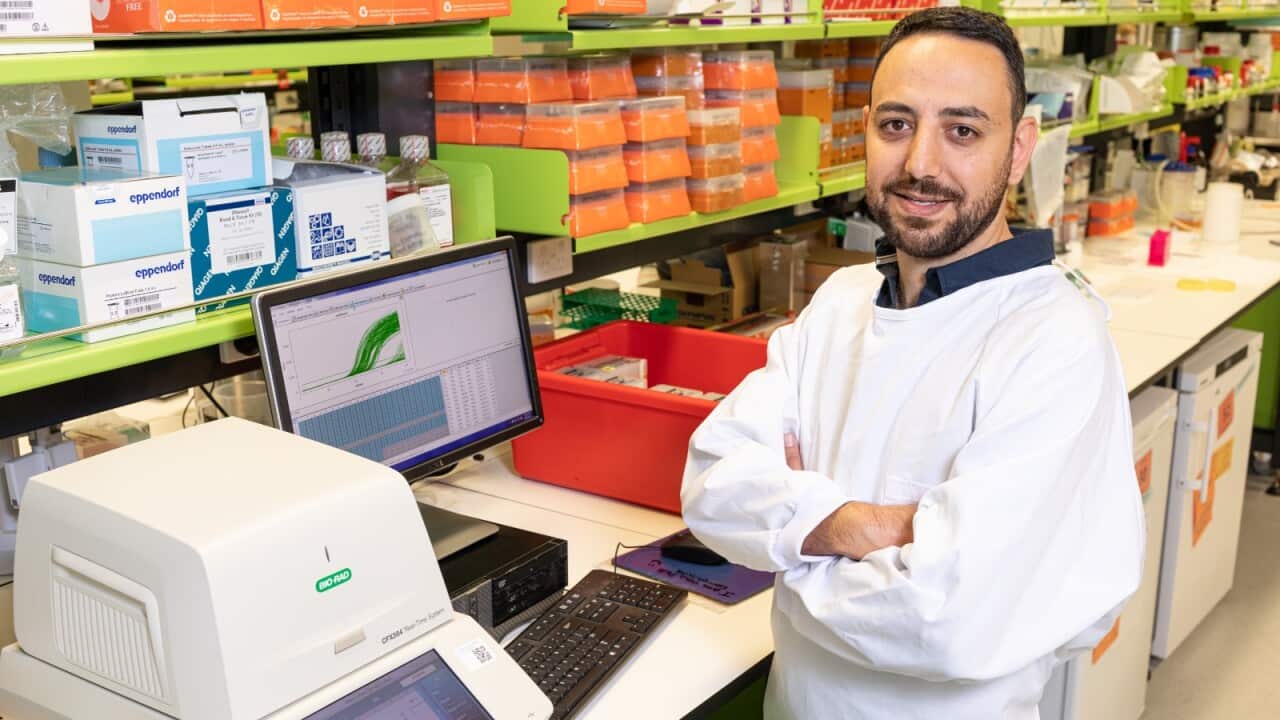 Image for read more article 'لقراءة المزيد'