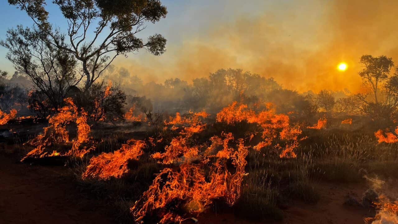 Cool Fire-Fire-1438.jpg