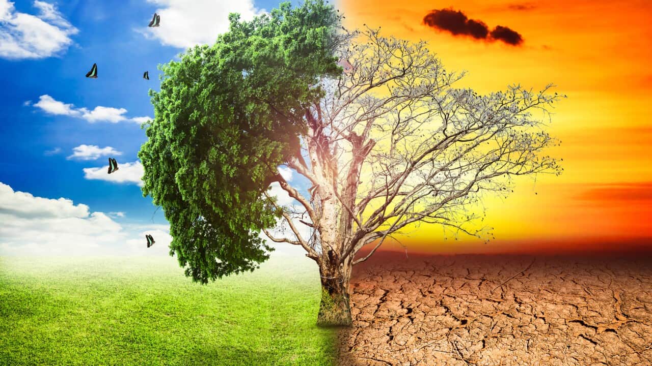 ONU advierte que el cambio climático agravará el hambre en Centroamérica
