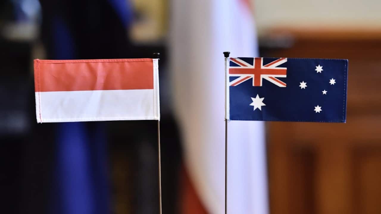 Prime Minister Anthony Albanese heads to Indonesia for top-level talks.