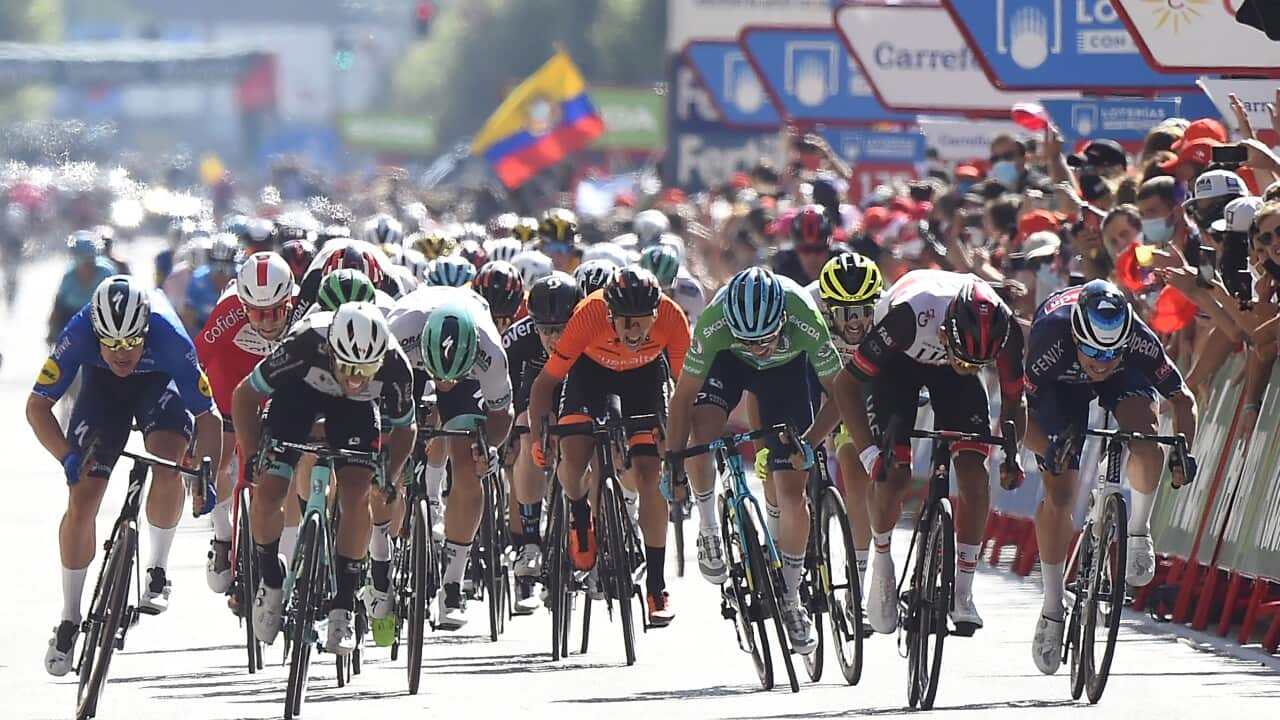 Jasper Philipsen, Alpecin-Fenix, Vuelta a Espana