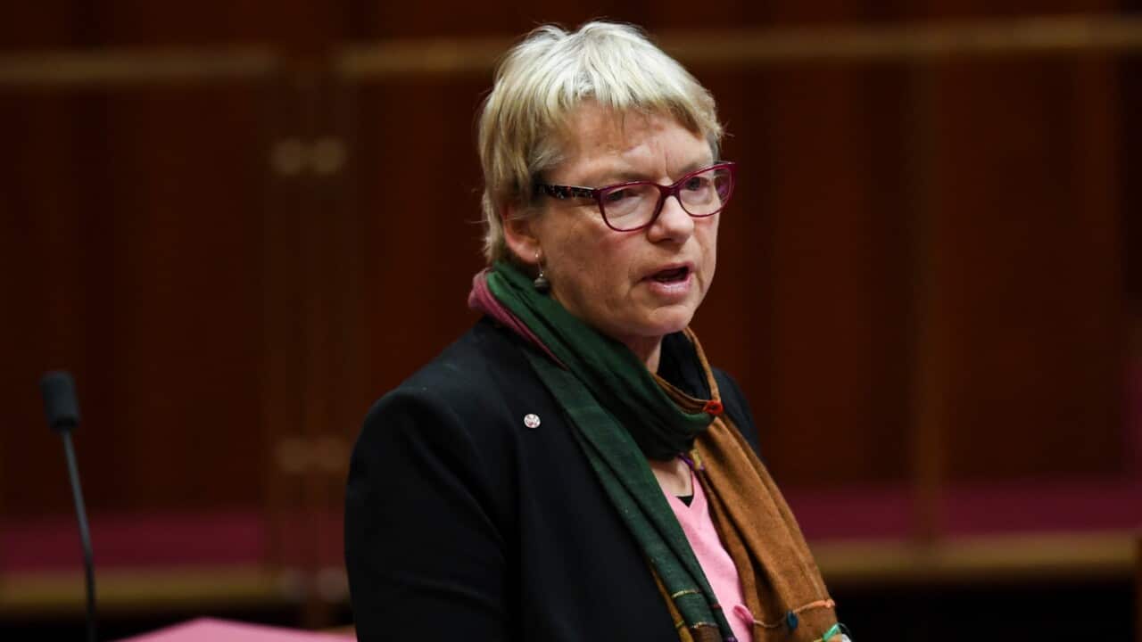 Australian Greens Senator Janet Rice
