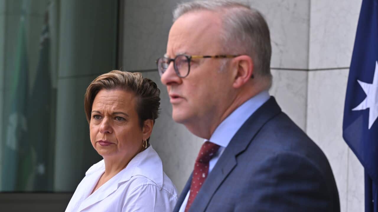 ANTHONY ALBANESE SOCIAL MEDIA PRESSER