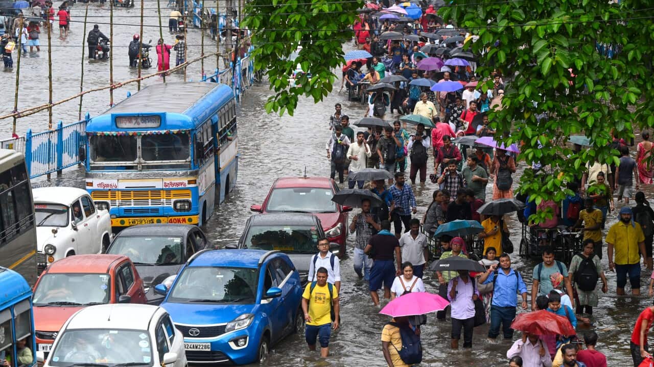 India: Heavy Rainfall Wreaks Havoc In Kolkata