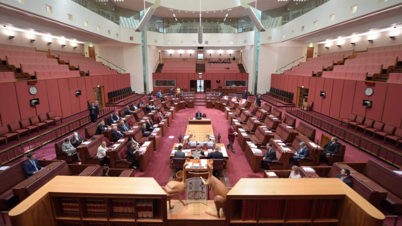 The Senate chamber at Parliament House in Canberra