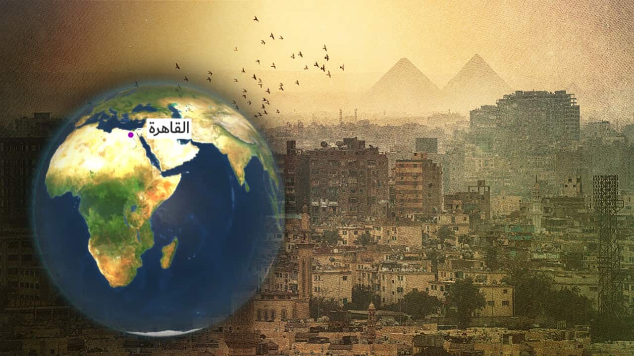 مراسل القاهرة.jpg
