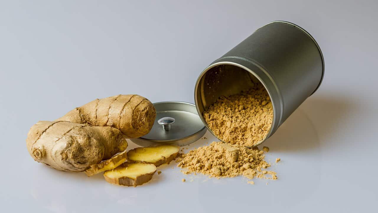 種植薑和黃薑需要甚麼環境?