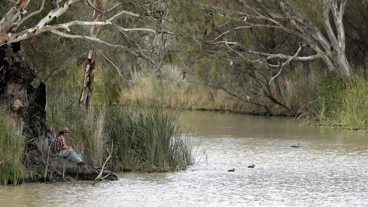 Two locals fish in the Murray river in Wentworth, 1,043 kilometers from Sydney