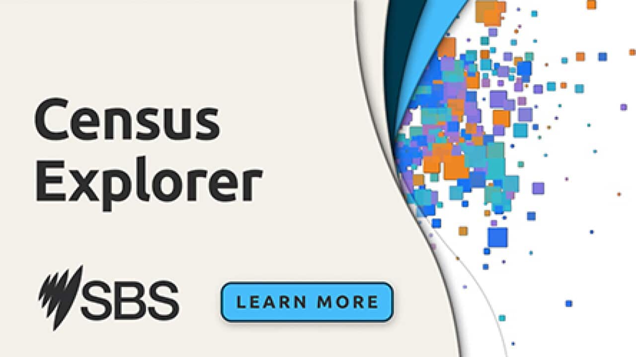 Census Explorer
