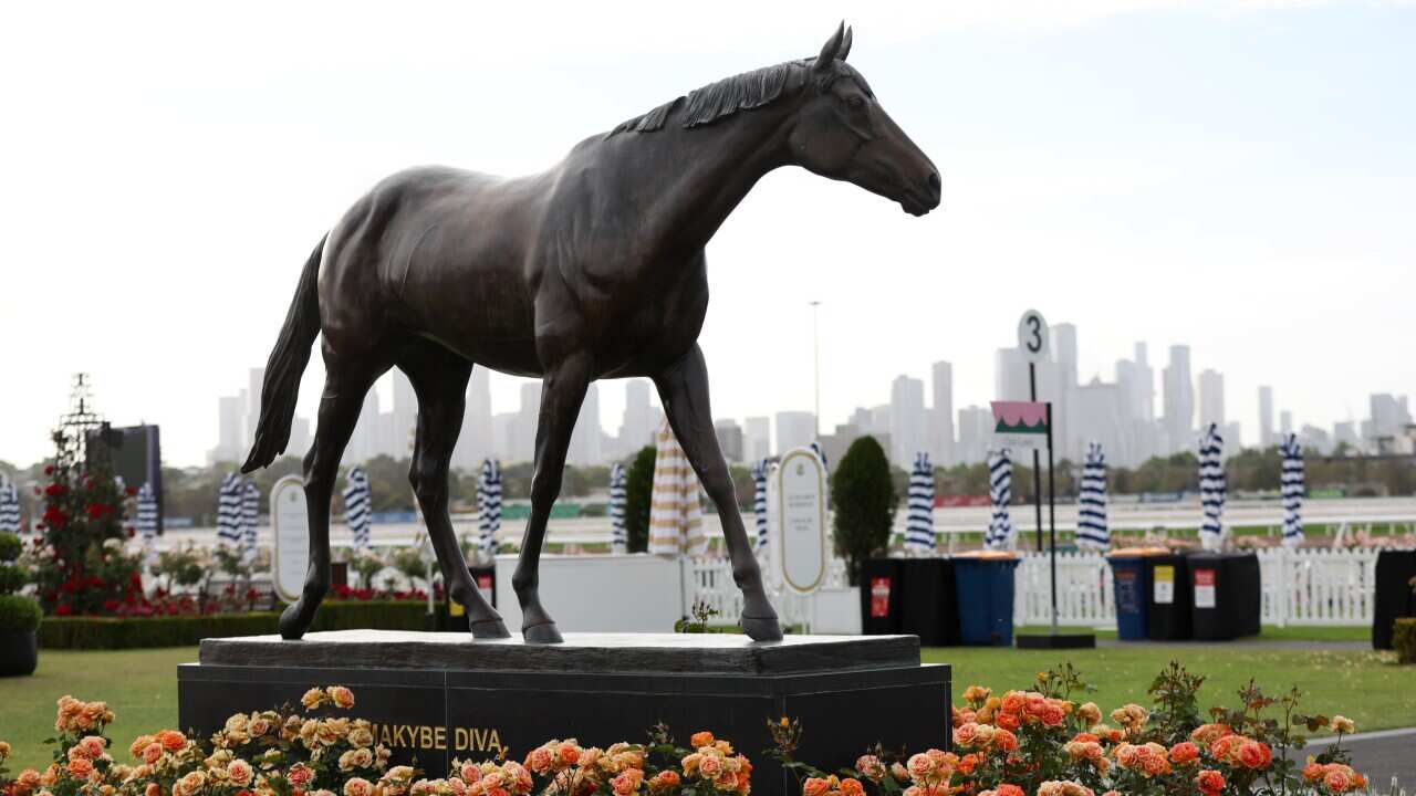MELBOURNE CUP EVE MEDIA CALL