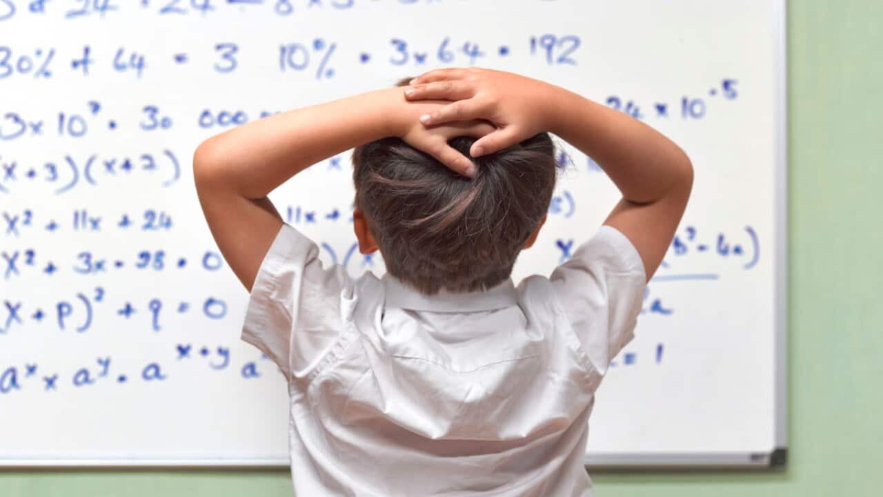 JUNIOR PUPIL AMAZED BY MATHS ON CLASSROOM WHITEBOARD