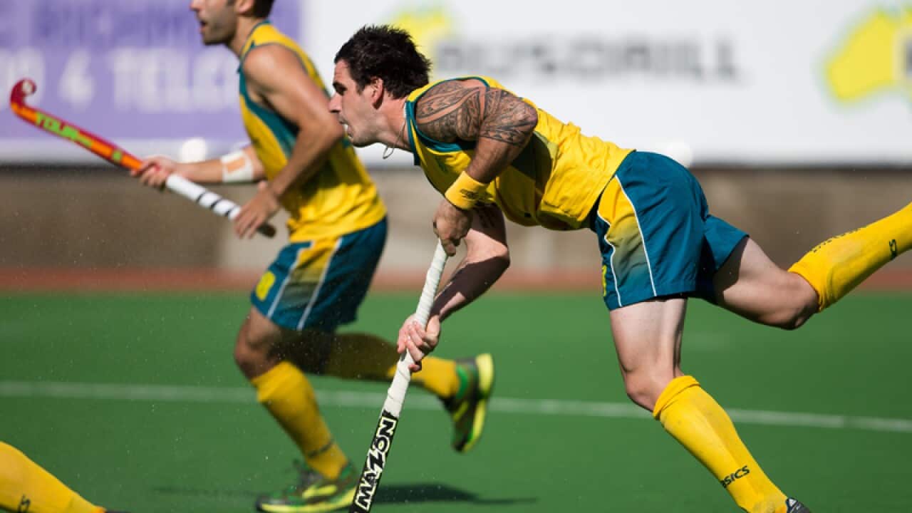 Kookaburras in action