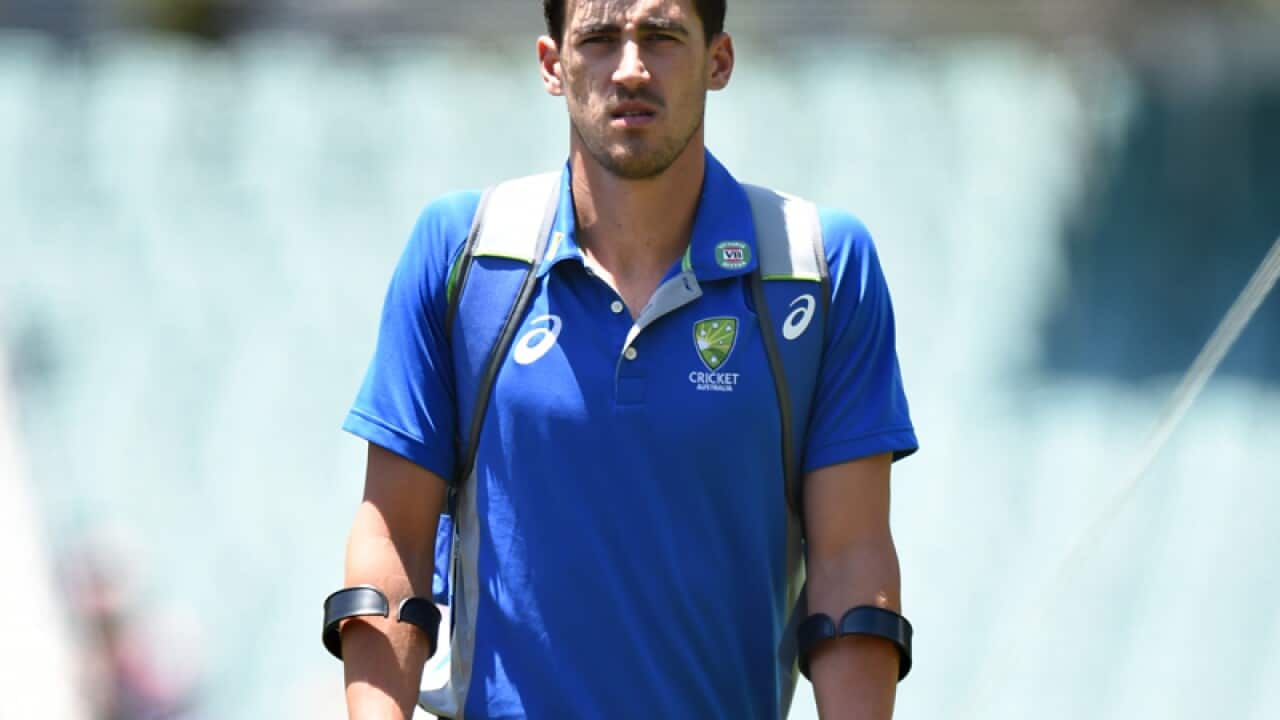 Australian cricketer Mitchell Starc