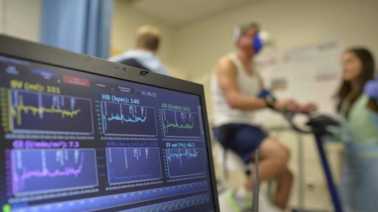 heart function stress test