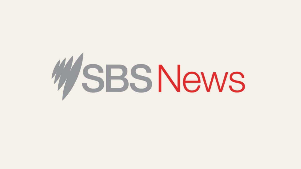 News logo
