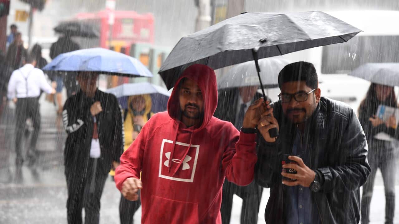 SYDNEY WET WEATHER
