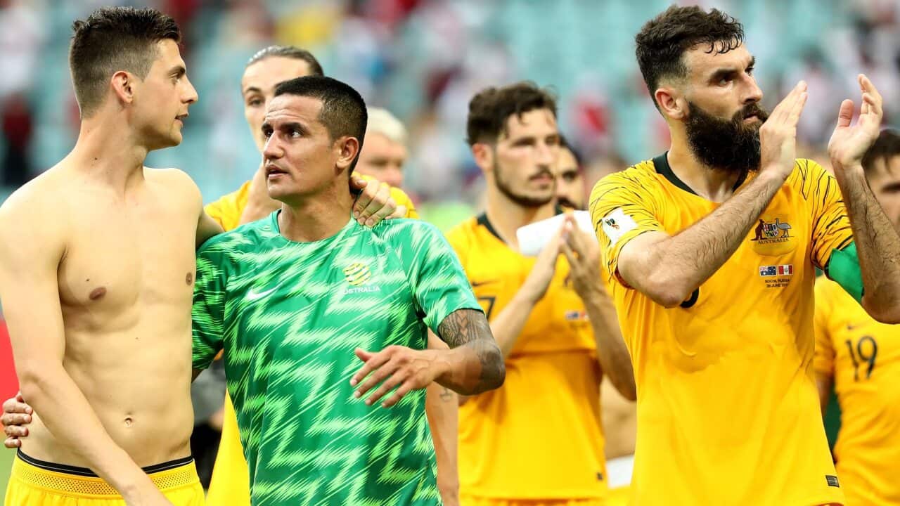 Image for read more article 'READ MORE'