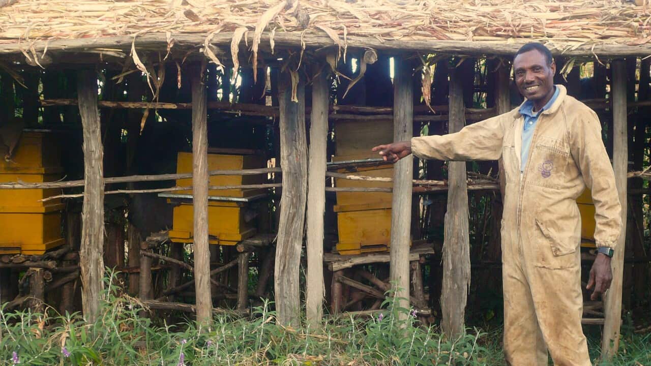 Formazione degli apicultori in Etiopia (La Rete dei mieli, Parma per gli Altri)