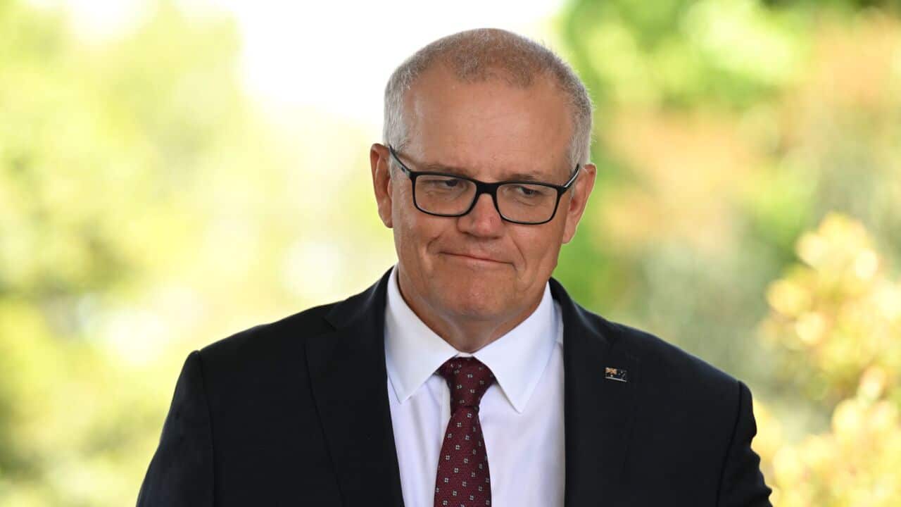 Former prime minister and Federal Member for Cook Scott Morrison